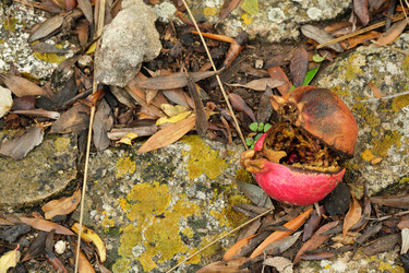 Similar image 22100177