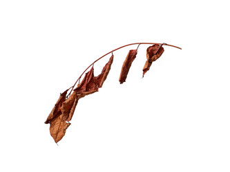 Similar image 22100178