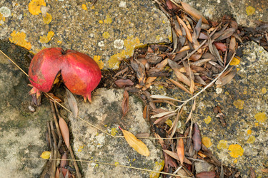 Similar image 22100179