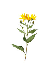 Similar image 22100180