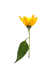 Similar image 22100185