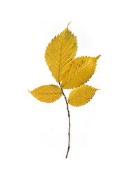 Similar image 22100186