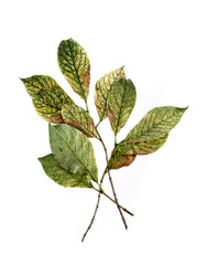 Similar image 22100188