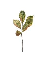 Similar image 22100189