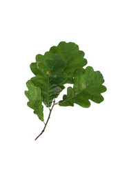 Similar image 22100191