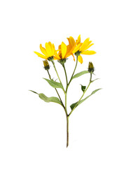 Similar image 22100193