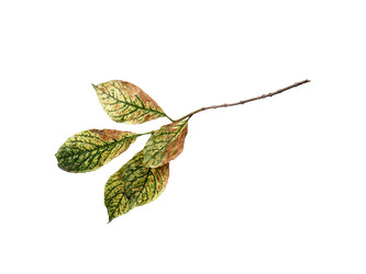 Similar image 22100194