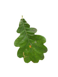 Similar image 22100195