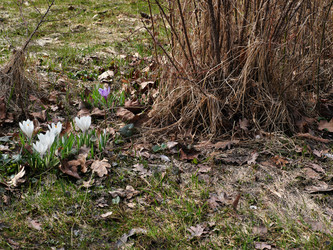 Similar image 22100196