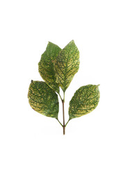 Similar image 22100199