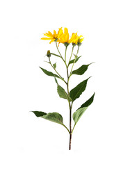 Similar image 22100201