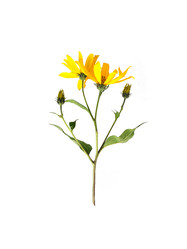 Similar image 22100482