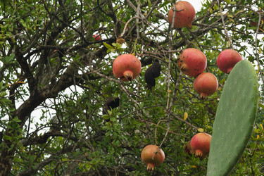 Similar image 22098938