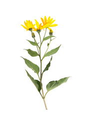 Similar image 22098941