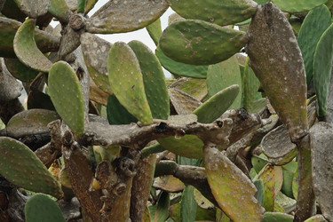 Similar image 22098944