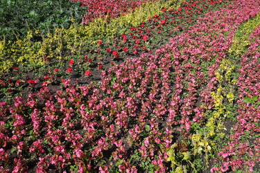 Similar image 22098946