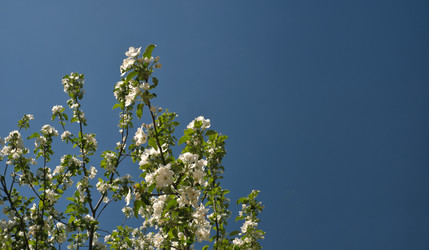 Similar image 22098947