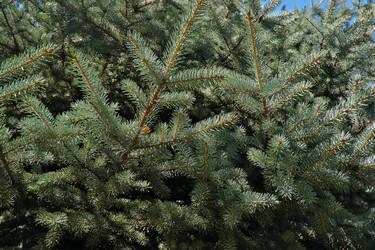 Similar image 22098950