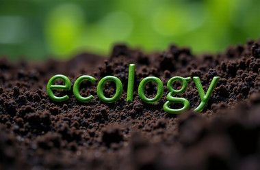 Similar image 22107385