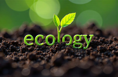 Similar image 22107386