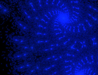 Similar image 22106821