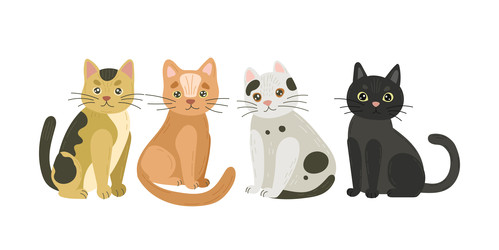 Similar image 22117718