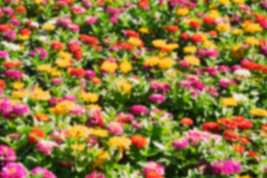 Similar image 22099487