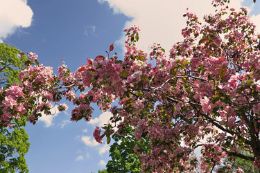 Similar image 22099490