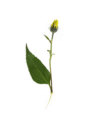 Similar image 22099491