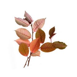 Similar image 22099492