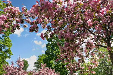 Similar image 22099494