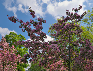 Similar image 22099496