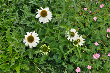 Similar image 22099497