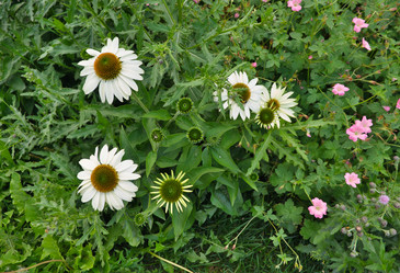 Similar image 22099498