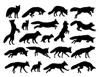 Similar image 22105920