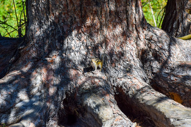 Similar image 22098671