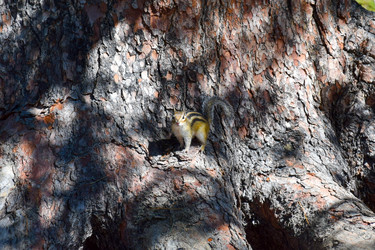 Similar image 22098672