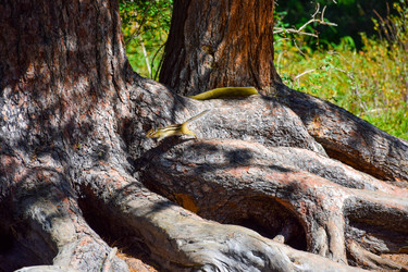 Similar image 22098673