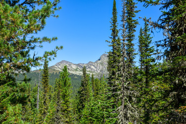 Similar image 22098675