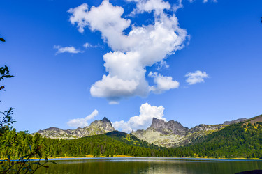 Similar image 22098685