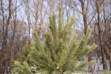 Similar image 22105921