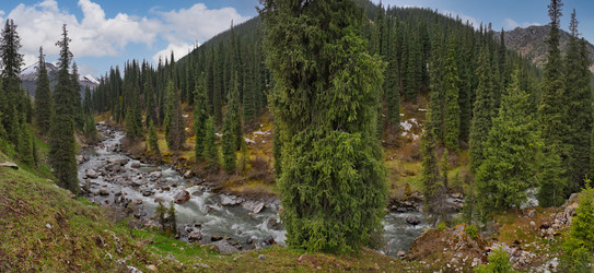 Similar image 22099375