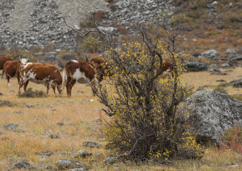 Similar image 22099397