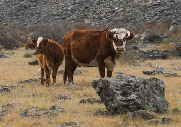 Similar image 22099398