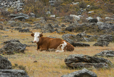 Similar image 22099399