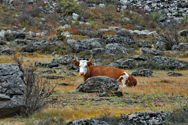 Similar image 22099401