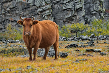 Similar image 22099404