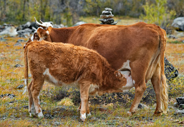 Similar image 22099405