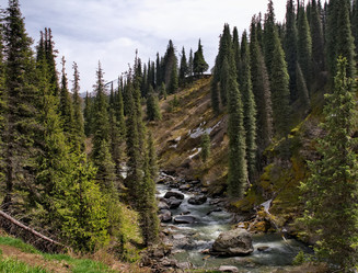 Similar image 22099410