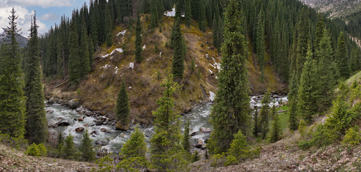 Similar image 22099411